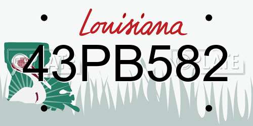 43PB582 Louisiana License Plate