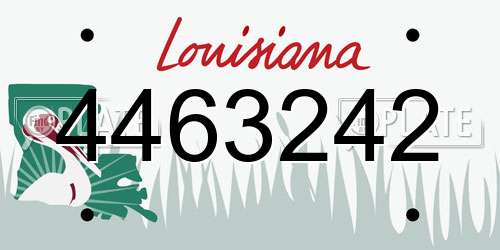4463242 Louisiana License Plate