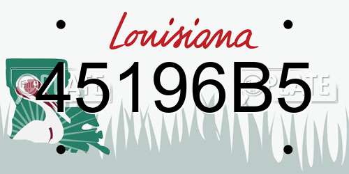 45196B5 Louisiana License Plate