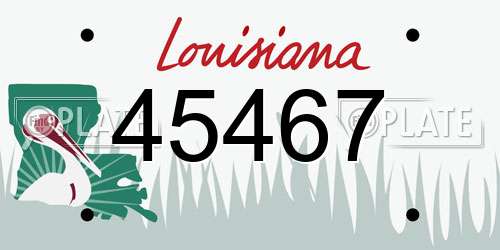45467 Louisiana License Plate