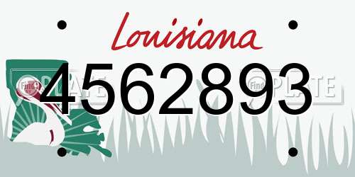 4562893 Louisiana License Plate