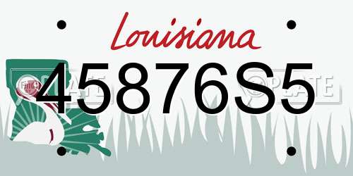45876S5 Louisiana License Plate
