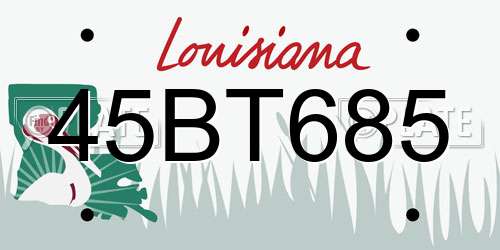 45BT685 Louisiana License Plate