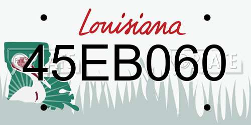 45EB060 Louisiana License Plate