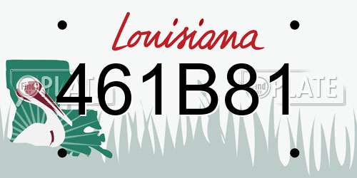 461B81 Louisiana License Plate