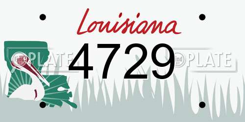 4729 Louisiana License Plate