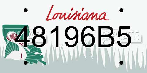 48196B5 Louisiana License Plate