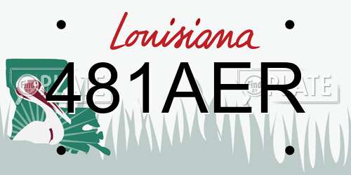 481AER Louisiana License Plate
