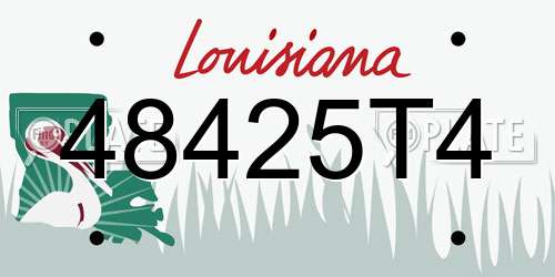 48425T4 Louisiana License Plate