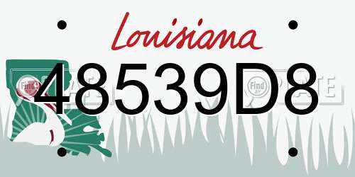 48539D8 Louisiana License Plate