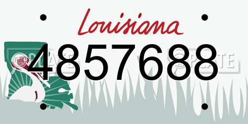 4857688 Louisiana License Plate