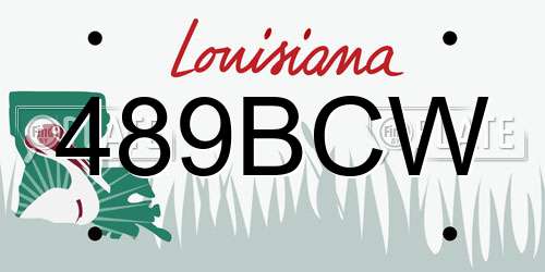 489BCW Louisiana License Plate