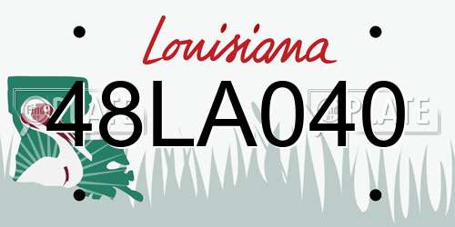 48LA040 Louisiana License Plate