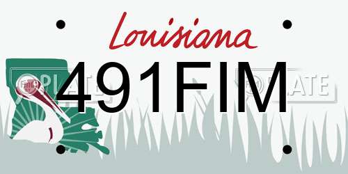 491FIM Louisiana License Plate