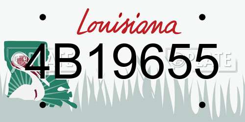 4B19655 Louisiana License Plate