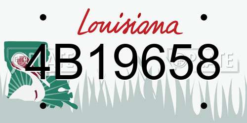 4B19658 Louisiana License Plate