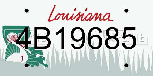 4B19685 Louisiana License Plate