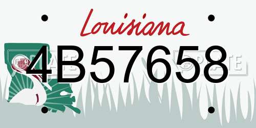 4B57658 Louisiana License Plate