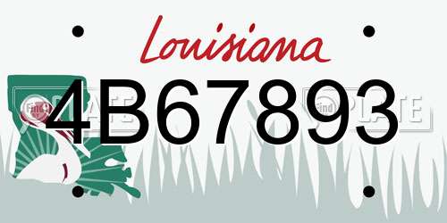 4B67893 Louisiana License Plate