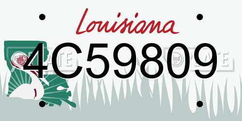 4C59809 Louisiana License Plate