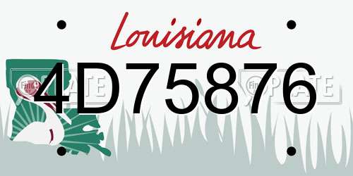 4D75876 Louisiana License Plate