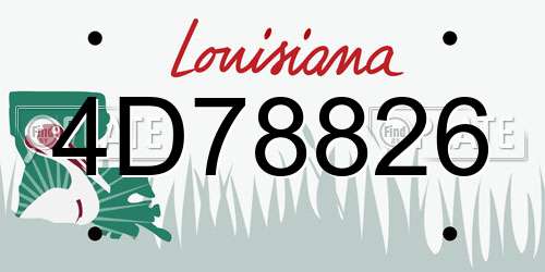 4D78826 Louisiana License Plate