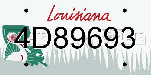 4D89693 Louisiana License Plate