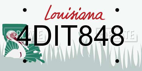 4DIT848 Louisiana License Plate