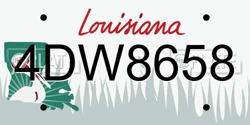 4DW8658 Louisiana License Plate