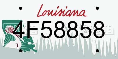 4F58858 Louisiana License Plate