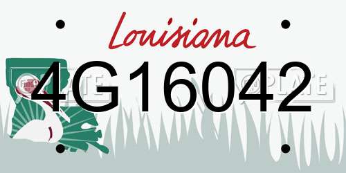 4G16042 Louisiana License Plate