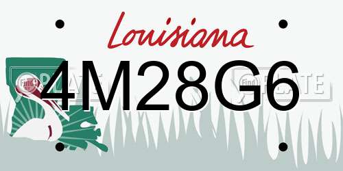 4M28G6 Louisiana License Plate