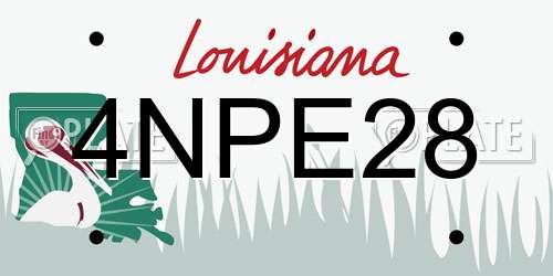 4NPE28 Louisiana License Plate