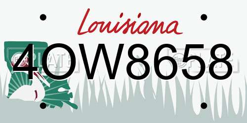 4OW8658 Louisiana License Plate