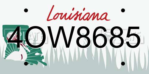 4OW8685 Louisiana License Plate
