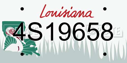 4S19658 Louisiana License Plate
