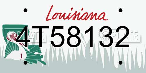 4T58132 Louisiana License Plate
