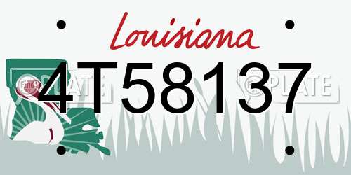 4T58137 Louisiana License Plate