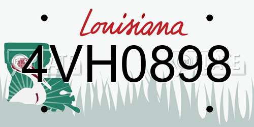 4VH0898 Louisiana License Plate