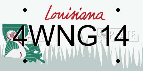 4WNG14 Louisiana License Plate