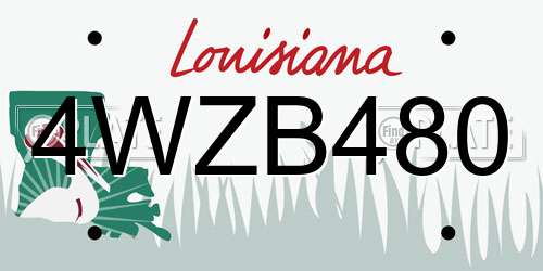 4WZB480 Louisiana License Plate