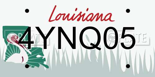 4YNQ05 Louisiana License Plate