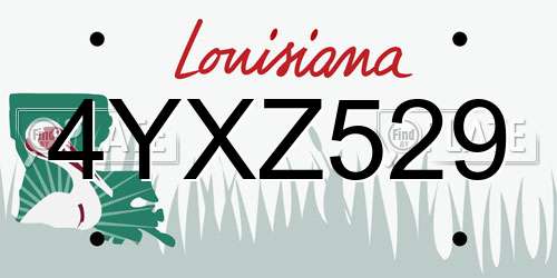 4YXZ529 Louisiana License Plate
