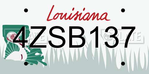4ZSB137 Louisiana License Plate