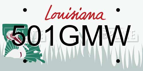 501GMW Louisiana License Plate