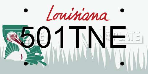 501TNE Louisiana License Plate