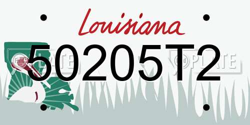 50205T2 Louisiana License Plate
