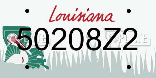 50208Z2 Louisiana License Plate