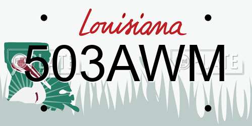 503AWM Louisiana License Plate