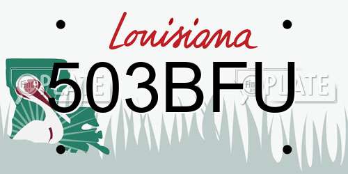 503BFU Louisiana License Plate